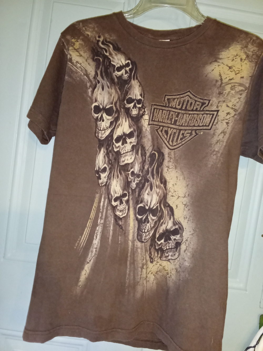 Harley-Davidson Brown Skull Cascade Short Sleeve Tee